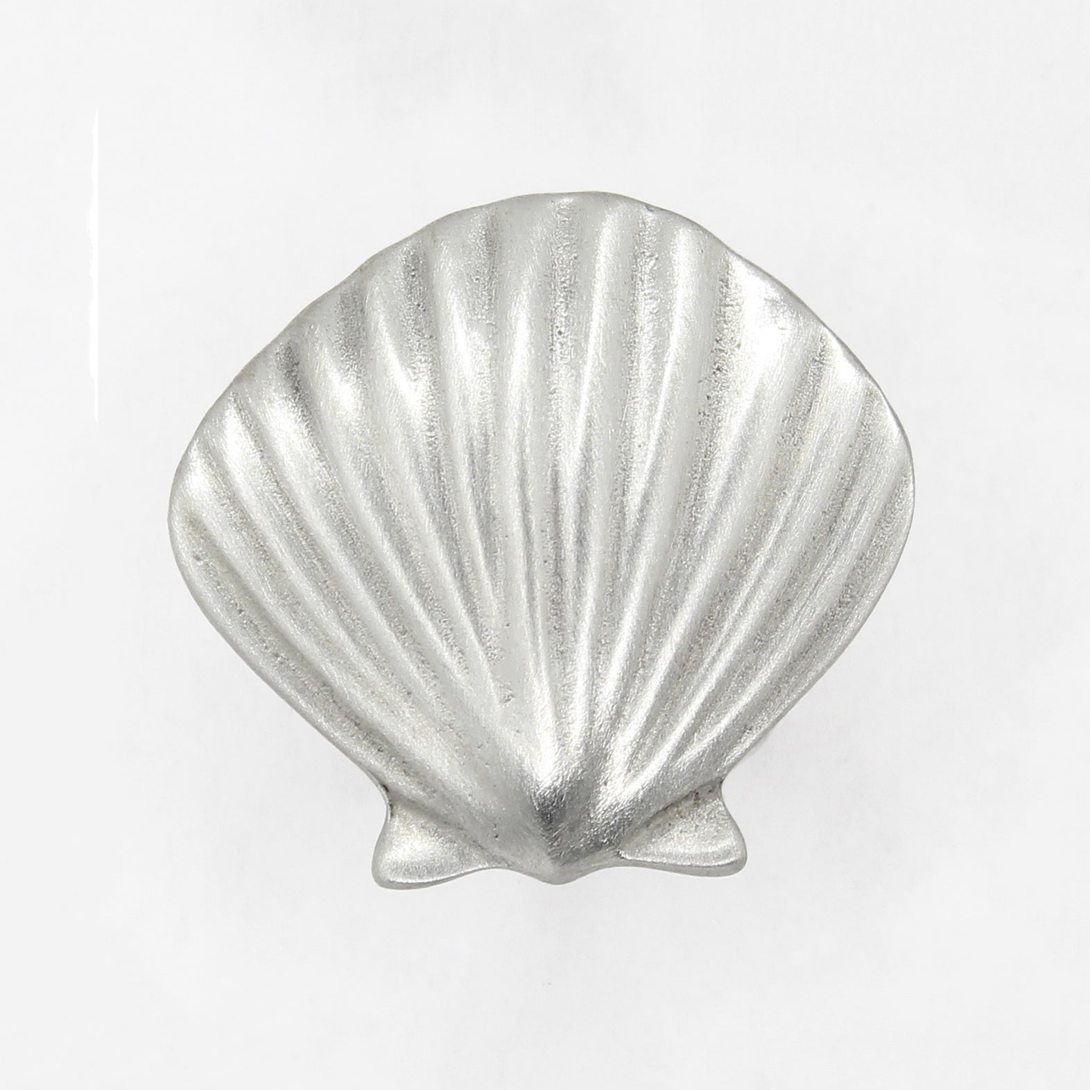 SEASHELL COLLECTION Image 3