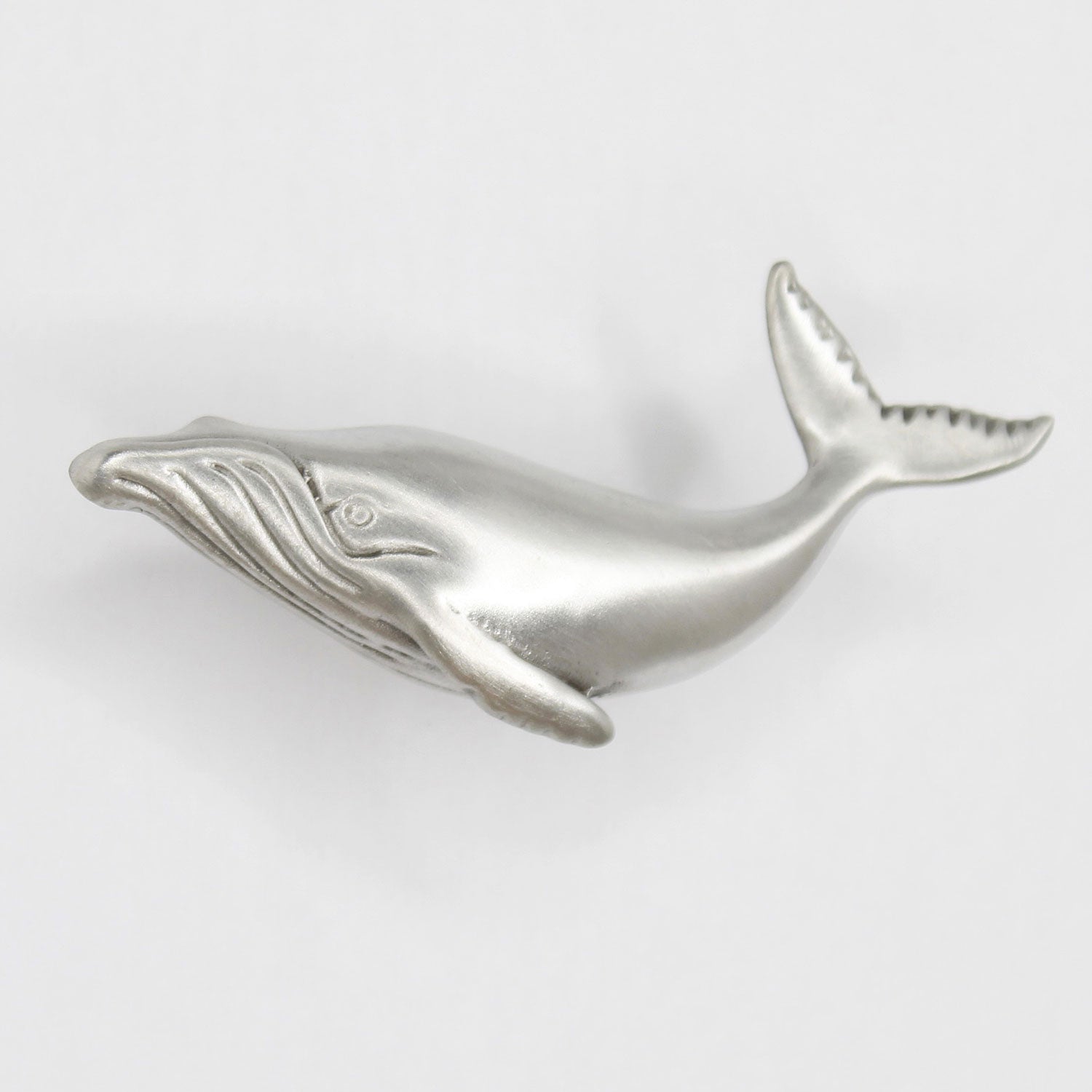 Whale Collection Image 1