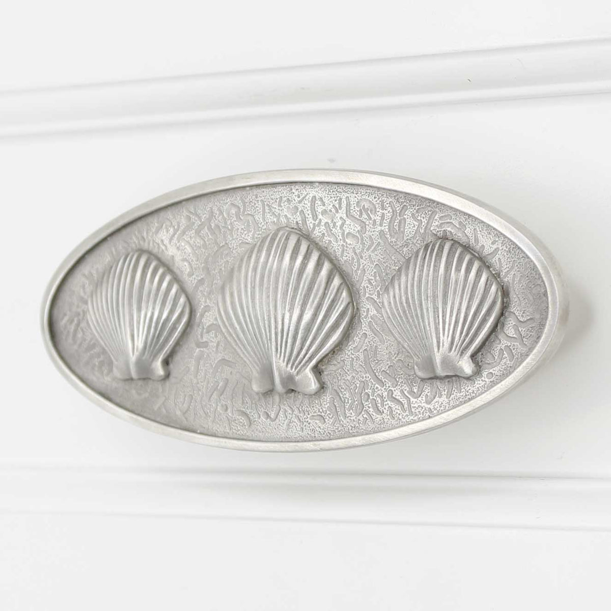 Scallop Shell Drawer Pull, Sea Shell Handle Costello Coastal